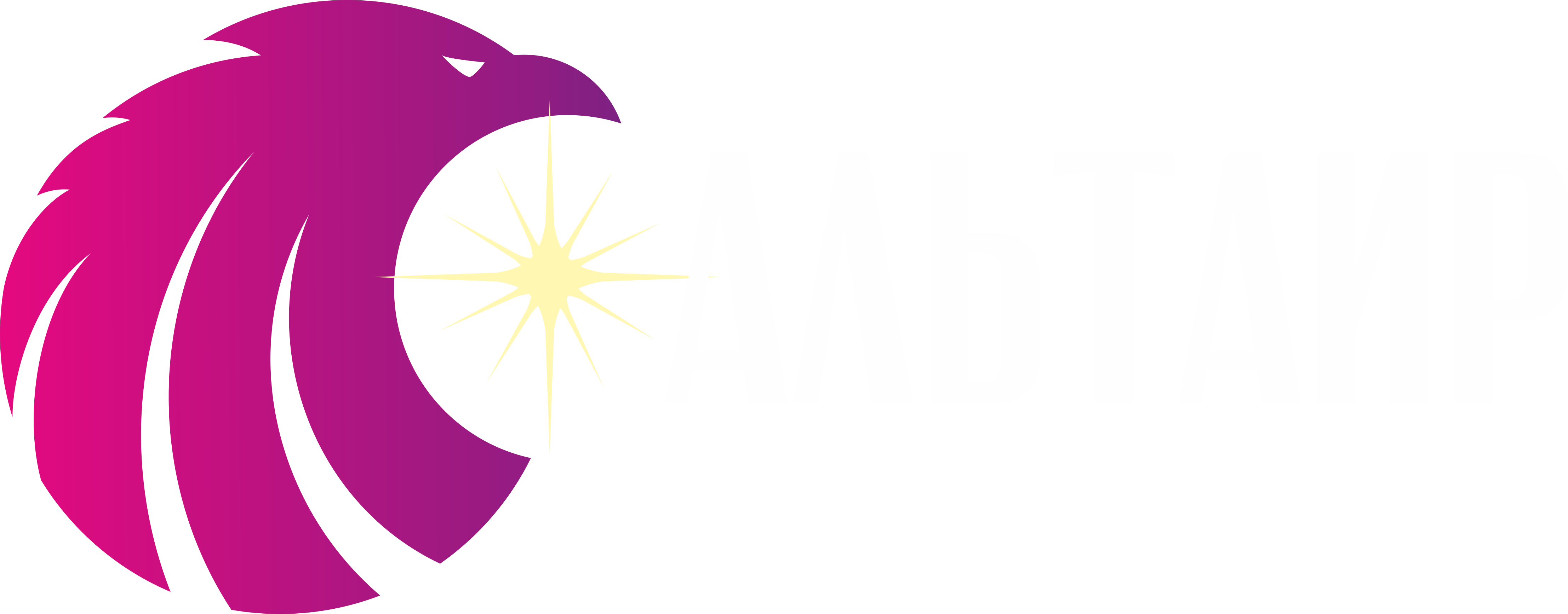 logo2